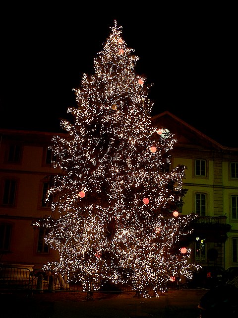 Le sapin de Nol  Neuchtel