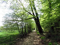 Chemin à Pierrabot