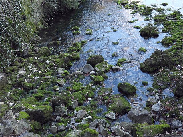 Source de la Serrire