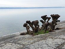 Sculptures du quai Osterwald