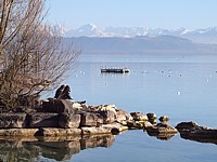 Détente sur les rives du lac