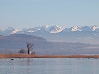 Le lac, la Ramée et les Alpes