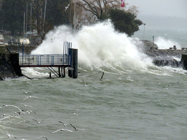 Vagues sur le port de Neuchtel