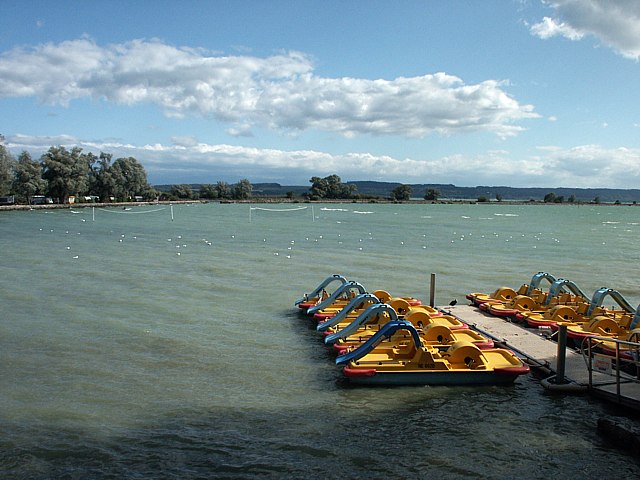 La Tne