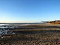 La Tène sans eau