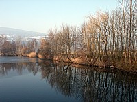 La vieille thielle en hiver