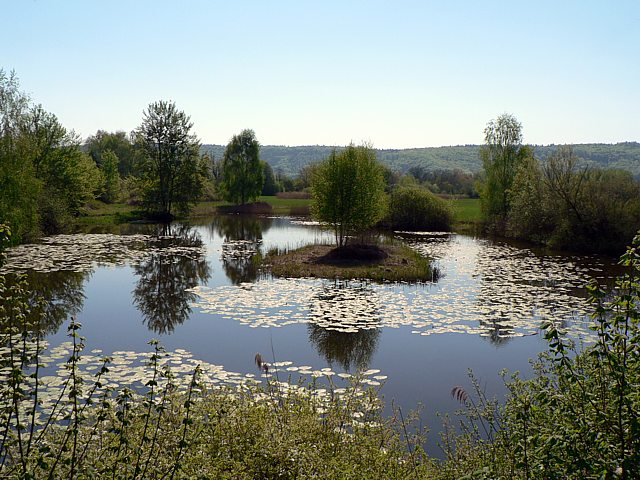 L'étang de la Vieille Thielle