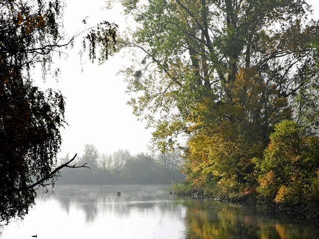 La Vieille Thielle