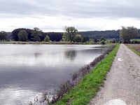Champs inondés à la Vieille Thielle