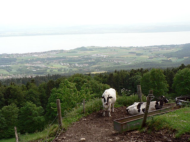 La Chenille au Val-de-Ruz