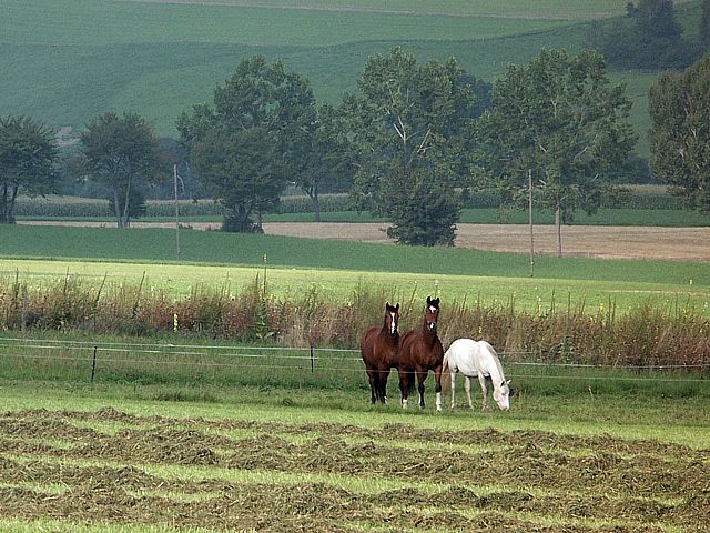 Le Val-de-Ruz dans toute sa largeur