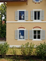 Animaux aux fenêtres