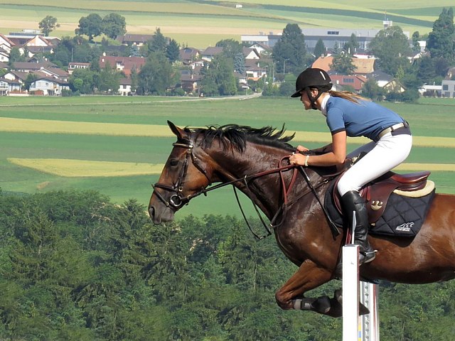 Concours hippique de Fenin