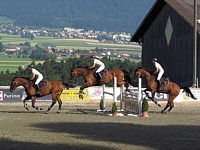 le saut du cheval