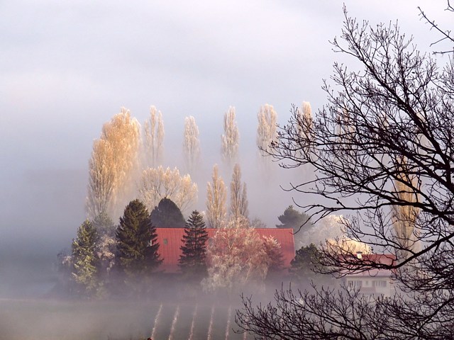 Enveloppe de brouillard