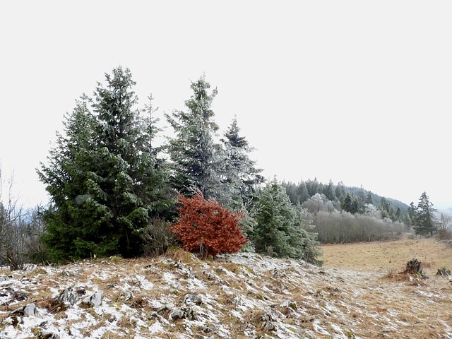 Mont d'Amin en hiver
