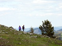 Crête du Mont-Racine