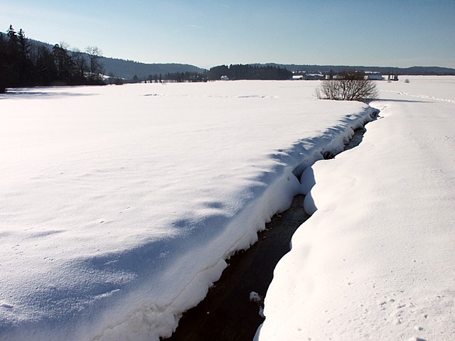Ruisseau dans le Val-de-Ruz