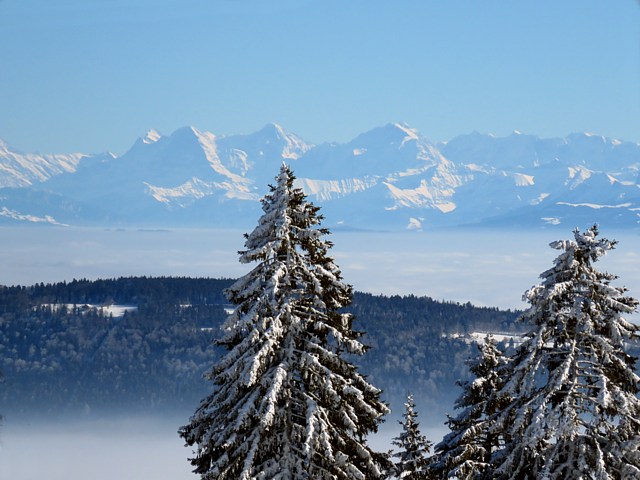 Vue depuis Tte-de-Ran
