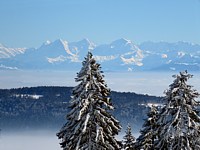 Vue depuis Tête-de-Ran