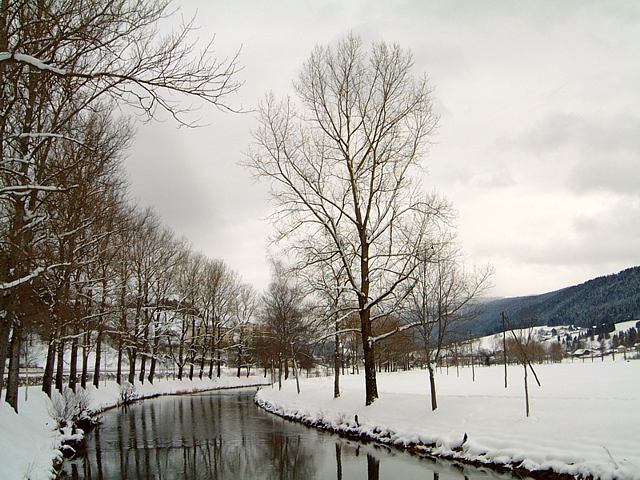 L'Areuse prs de Couvet