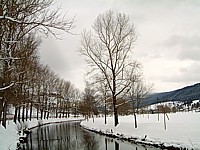 L'Areuse près de Couvet