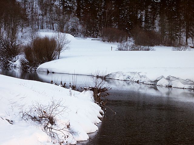 L'Areuse en hiver