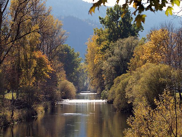 L'Areuse en automne