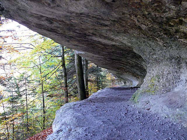 Le corridor aux loups