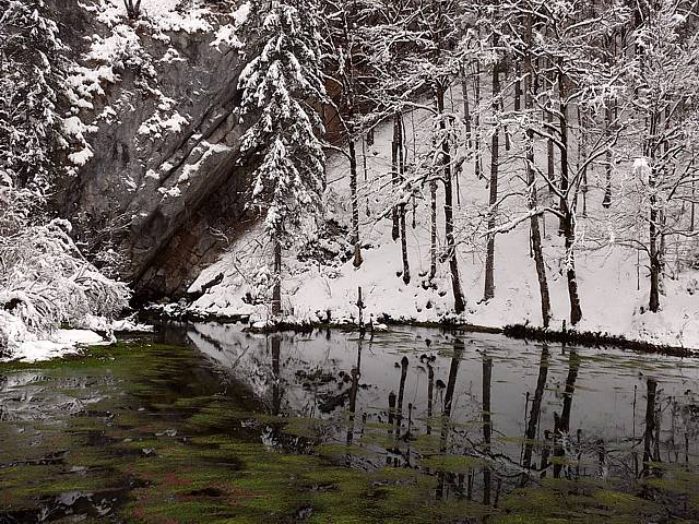 Source de l'Areuse en hiver