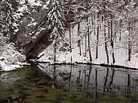 La source de l'Areuse